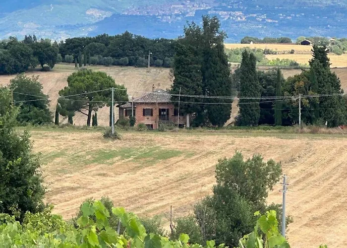 度假居 Il Noce Peaceful Tuscan Haven With Pool And Views *