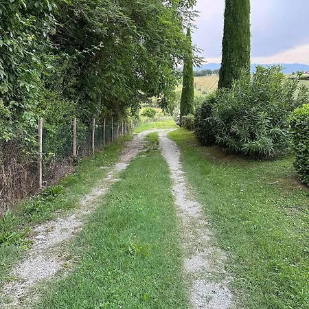 Il Noce Peaceful Tuscan Haven With Pool And Views בית נופש קורטונה